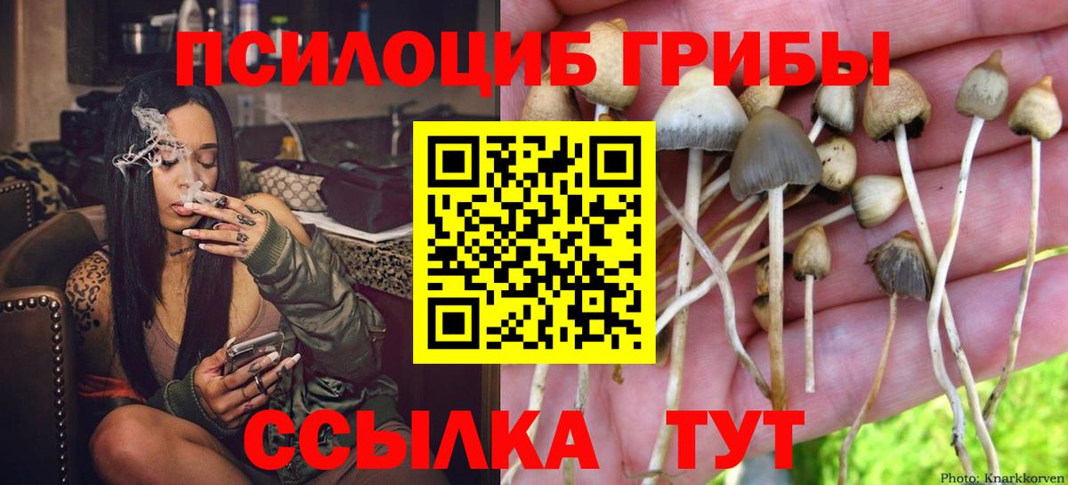 Наро-Фоминск  Псилоцибиновые грибы прущие грибы  Вход с VPN  Псилоцибиновые грибы Magic Shrooms 